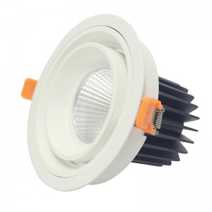 Rund och fyrkantig LED LED-lampa COB 20W 30W infälld ljuslampa med ledningsarmatur